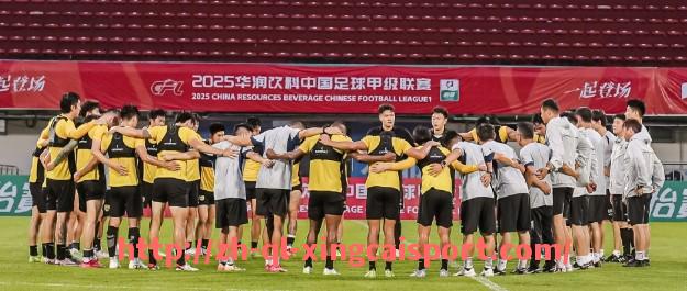 杏彩体育-2019赛季中超联赛部分关键场次比分回顾