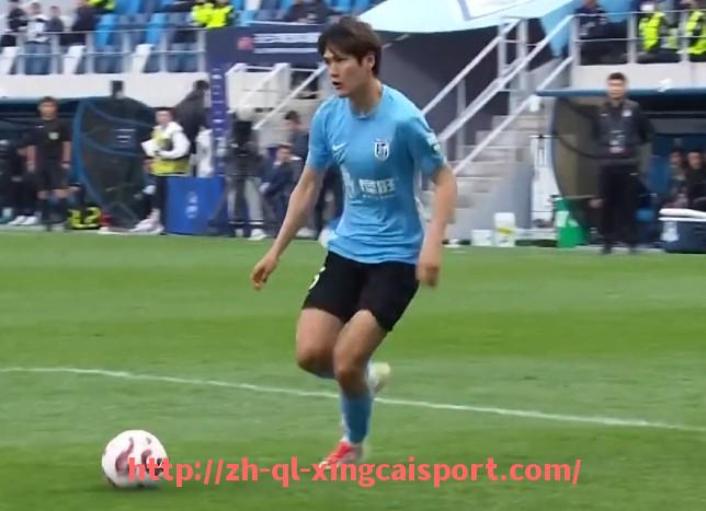 杏彩体育-法甲俱乐部历史比赛数据与成绩图表