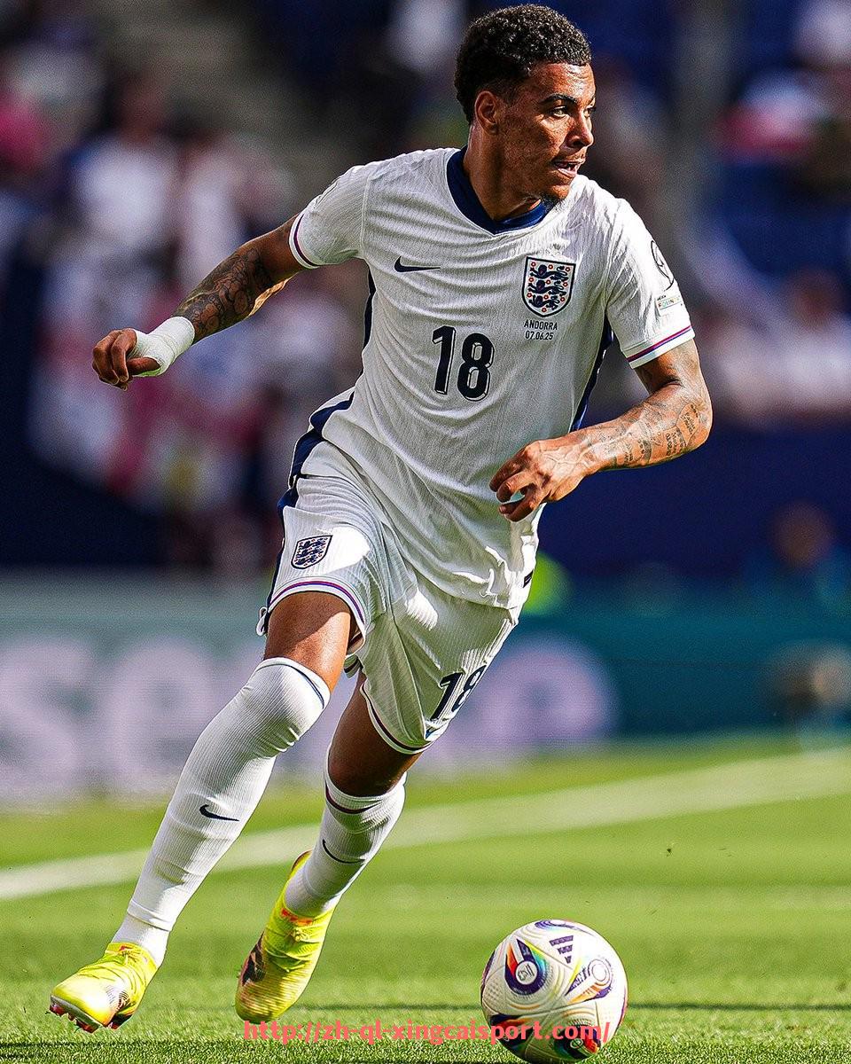 杏彩体育-萨拉赫获得历届英超最佳球员奖项的历程回顾