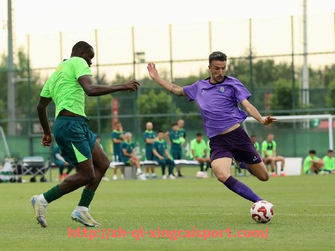 杏彩体育-法甲外援政策深度解读及执行细则