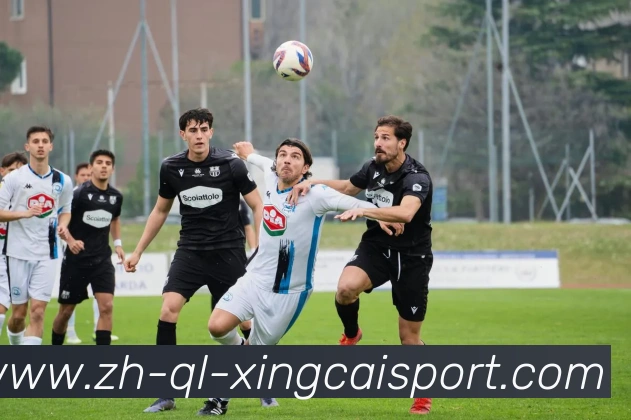 杏彩体育APP 体育赛事宣传图