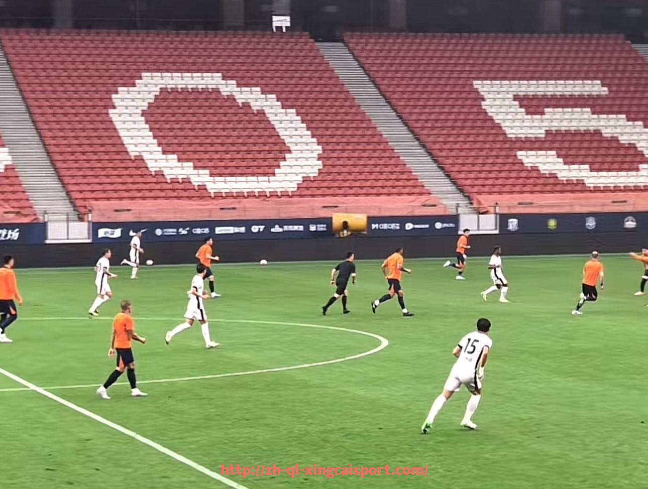 杏彩体育-世俱杯是否受限于各国防疫政策的挑战与应对